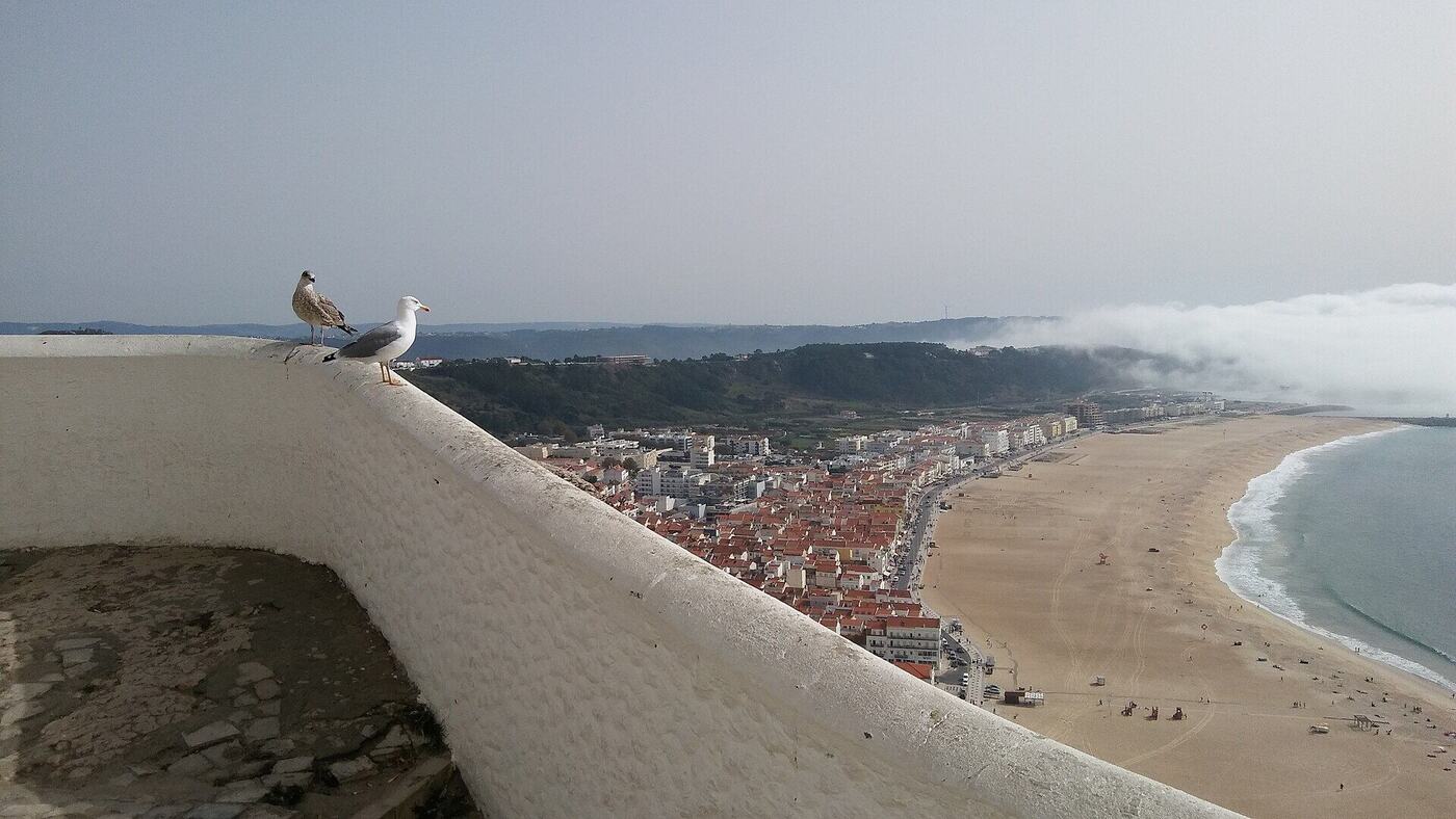 Sítio Clifftop & Funicular